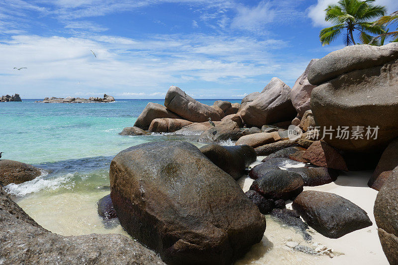 Anse Kerlan，普拉林，塞舌尔